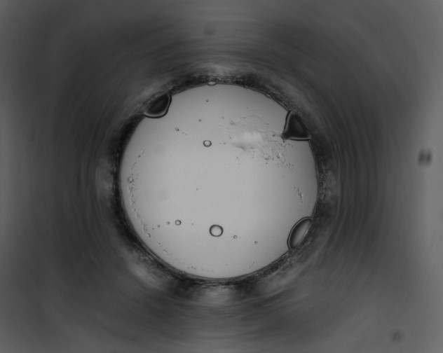 X0000101190456200807181515