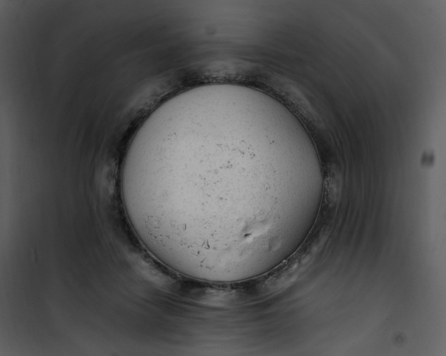 X0000101190458200807181515