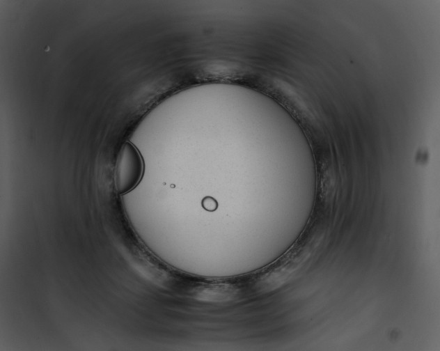 X0000101190459200807181515