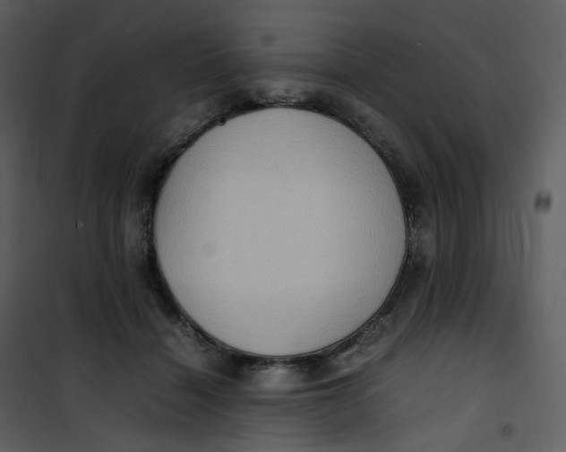 X0000101190460200807181515