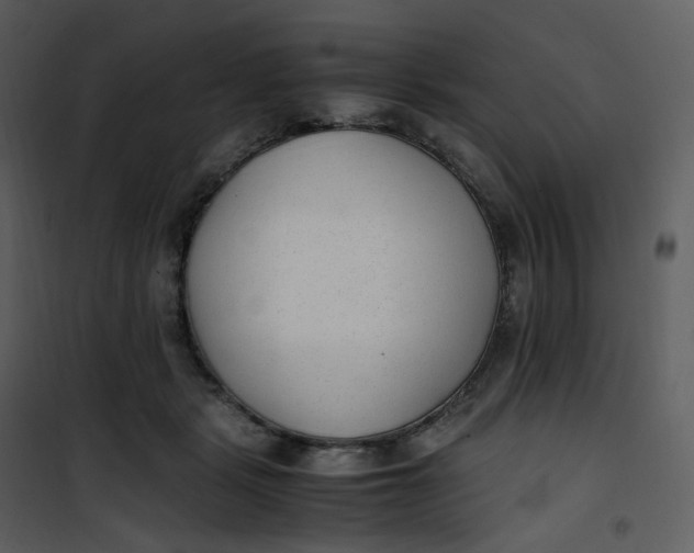 X0000101190461200807181515