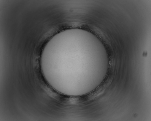 X0000101190462200807181515