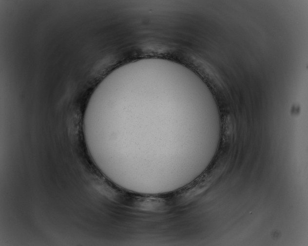 X0000101190463200807181515