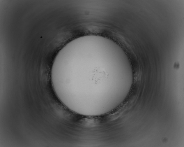 X0000101190464200807181515