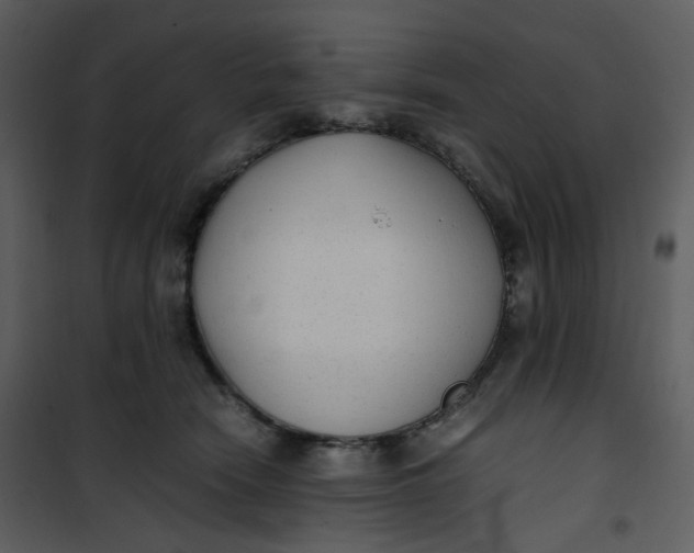 X0000101190466200807181515
