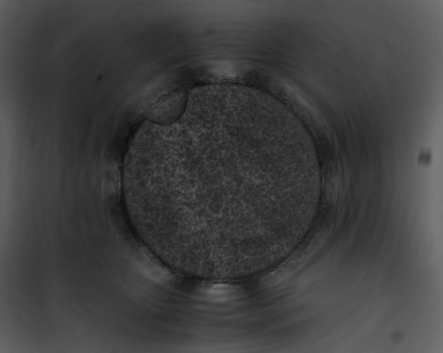 X0000101190467200807181515