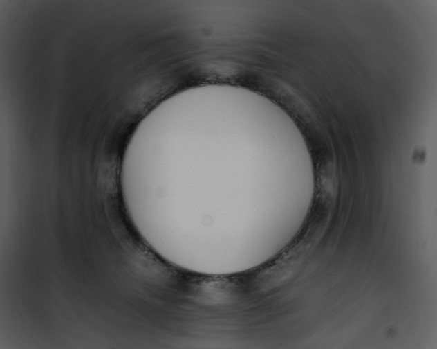 X0000101190468200807181515