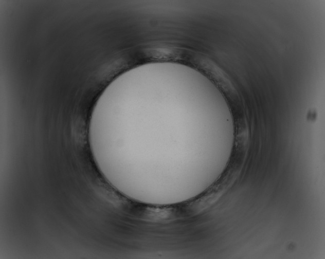 X0000101190469200807181515