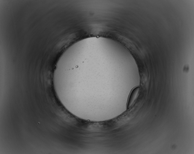 X0000101190470200807181515