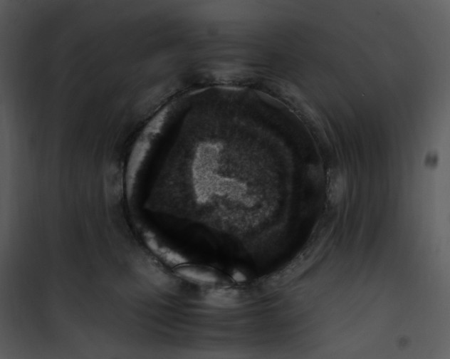 X0000101190471200807181515