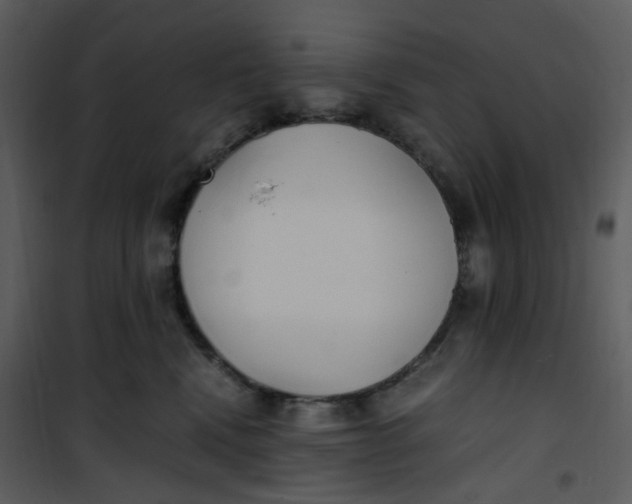 X0000101190472200807181515
