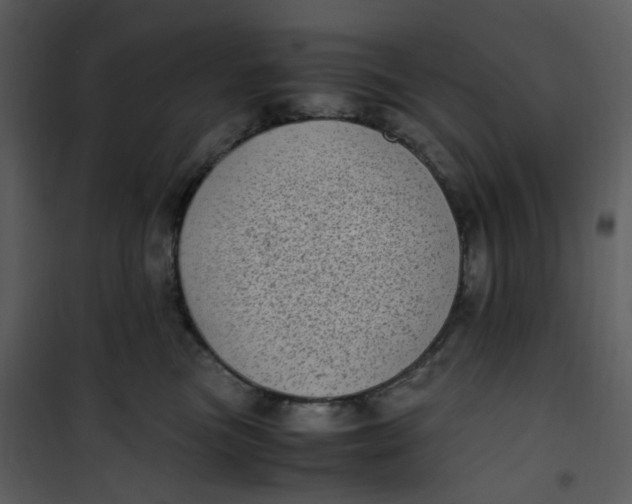 X0000101190473200807181515