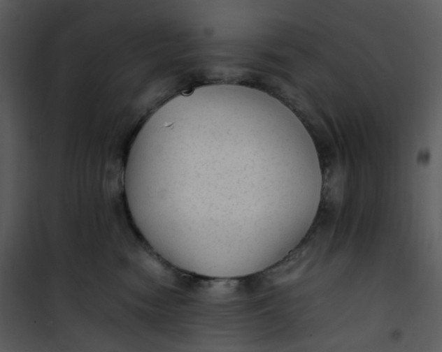 X0000101190474200807181515