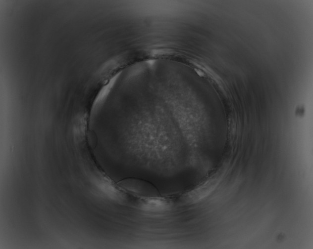 X0000101190475200807181515