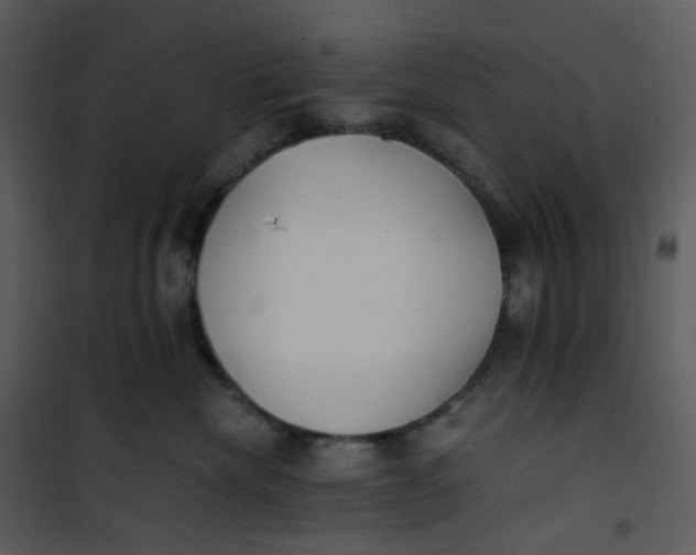 X0000101190476200807181515