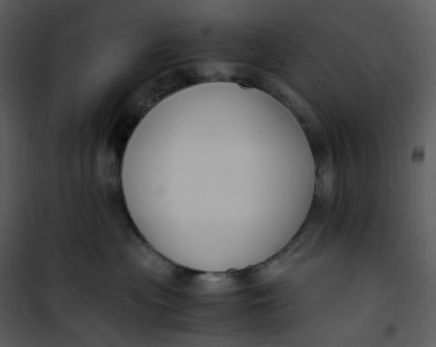 X0000101190477200807181515