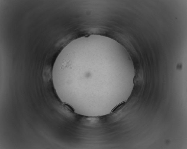 X0000101190478200807181515
