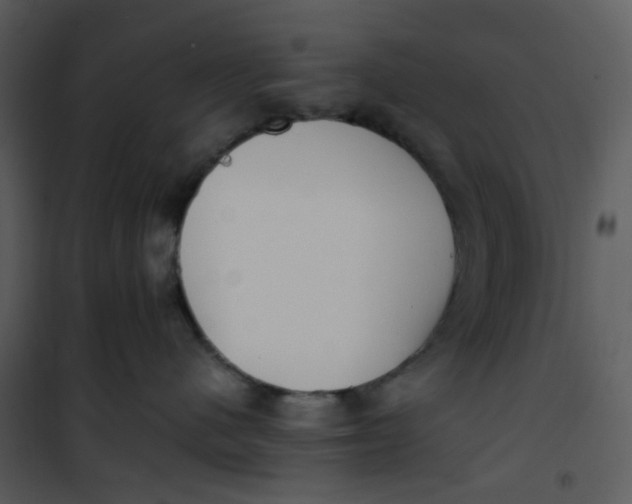 X0000101190480200807181515