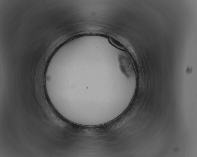 X0000101190481200807181515
