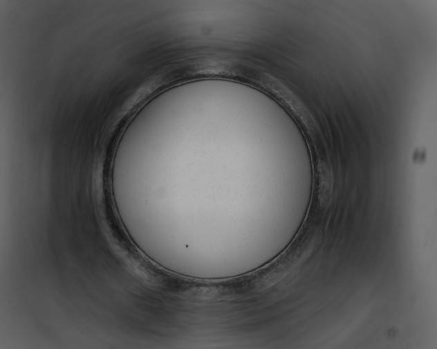 X0000101190482200807181515