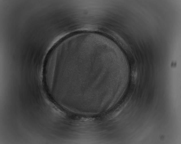 X0000101190484200807181515