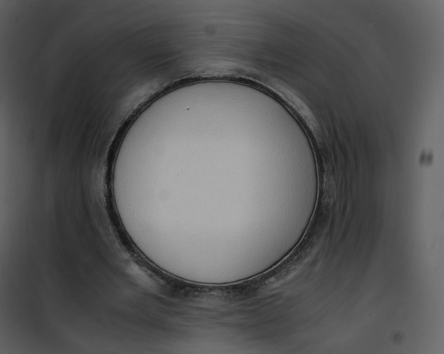 X0000101190485200807181515
