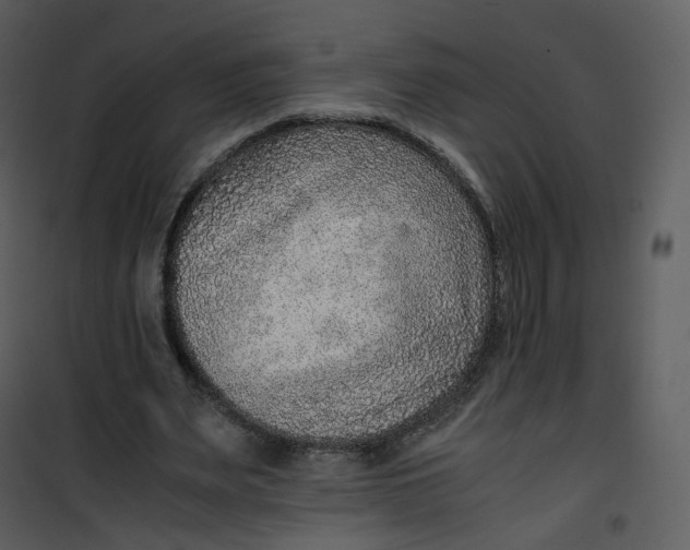X0000101190487200807181514