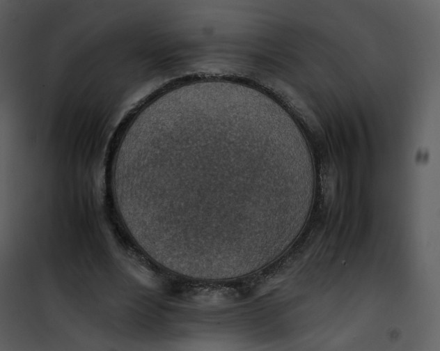 X0000101190488200807181514