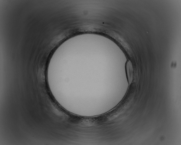 X0000101190489200807181514