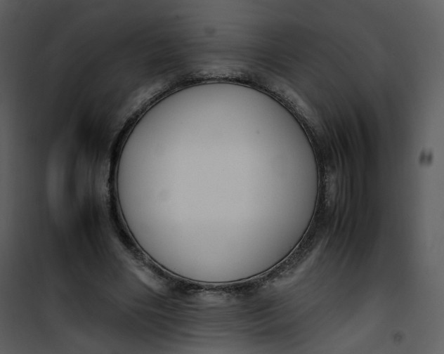 X0000101190490200807181514