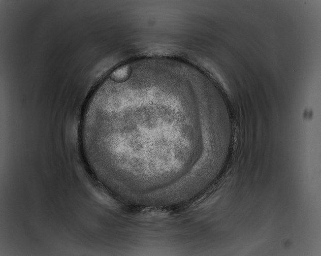 X0000101190491200807181514