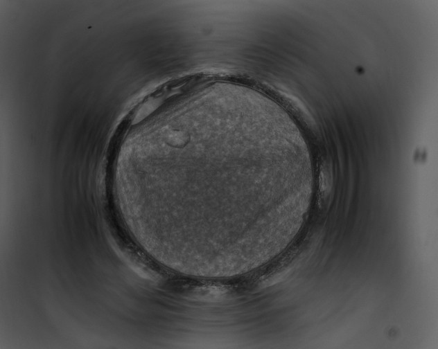 X0000101190492200807181514