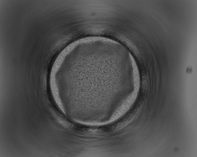 X0000101190493200807181514