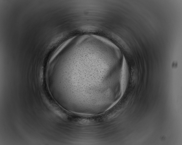 X0000101190494200807181514