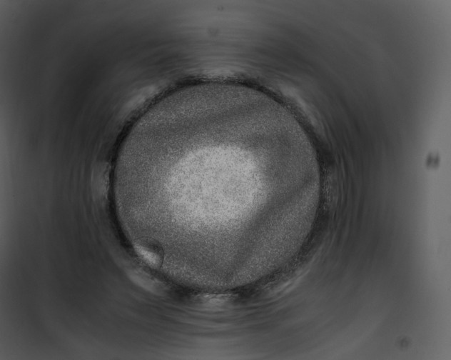 X0000101190495200807181514