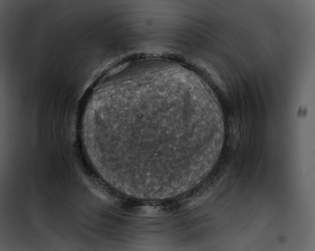X0000101190496200807181514