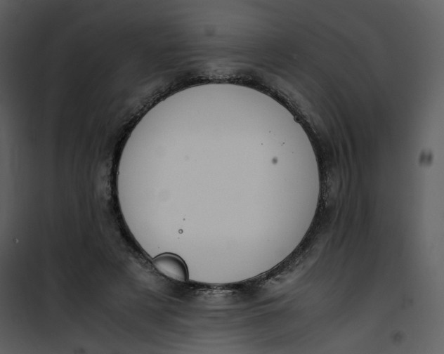 X0000101190497200807181514