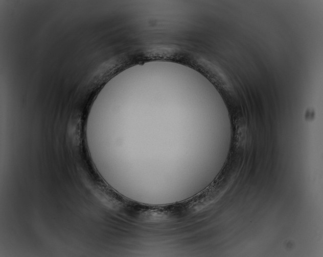X0000101190498200807181514