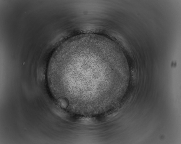 X0000101190499200807181514
