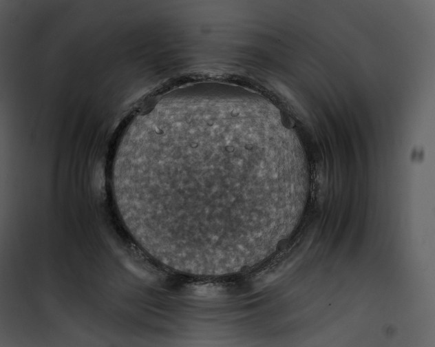 X0000101190500200807181514