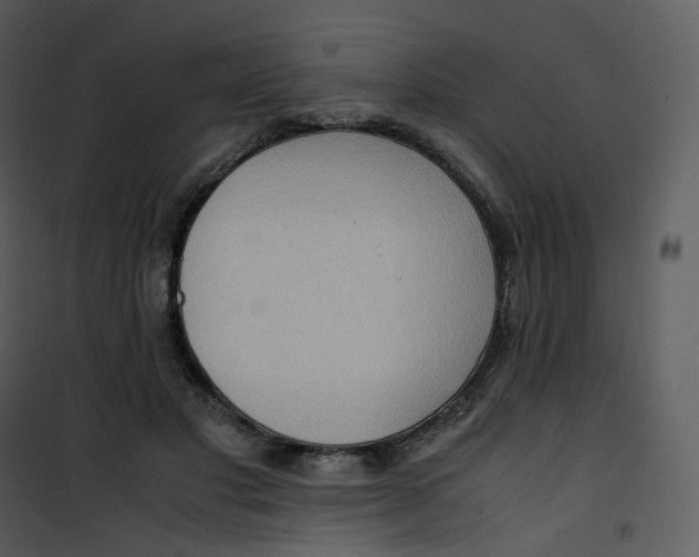 X0000101190501200807181514