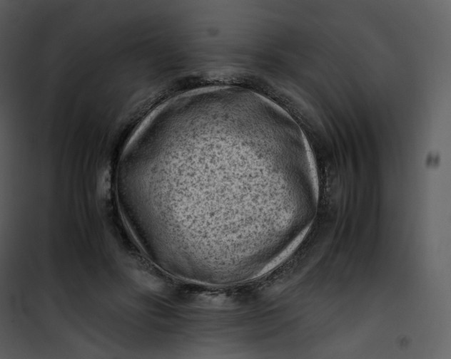 X0000101190502200807181514