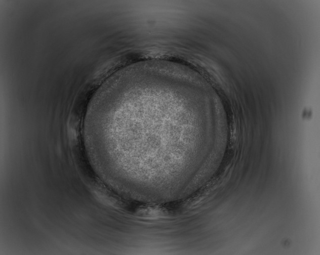 X0000101190503200807181514