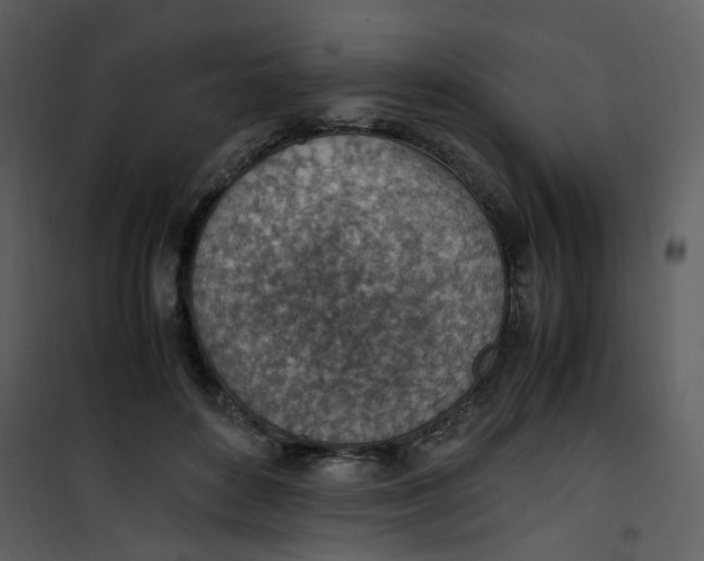 X0000101190504200807181514
