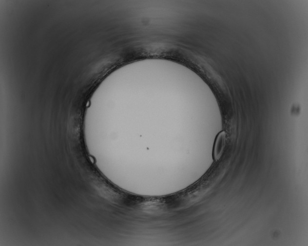 X0000101190505200807181514