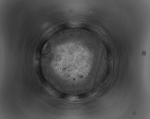 X0000101190507200807181514