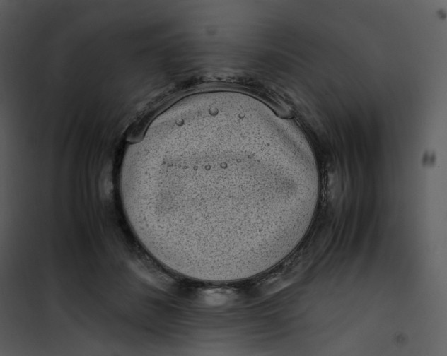 X0000101190508200807181514