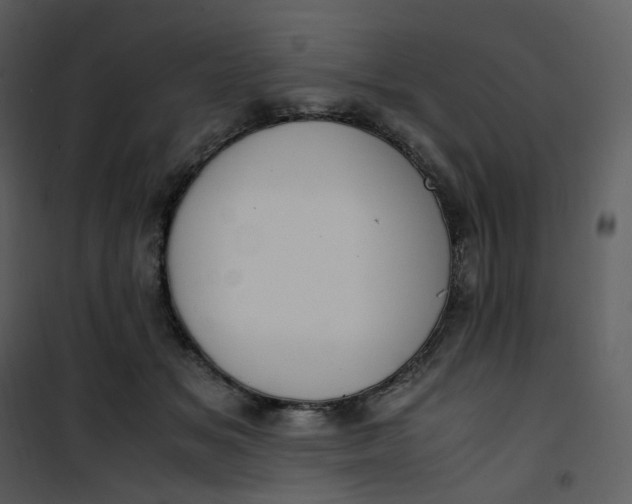 X0000101190509200807181514