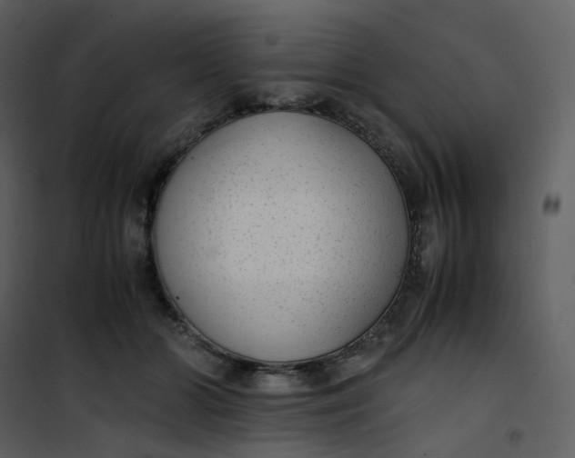 X0000101190510200807181514