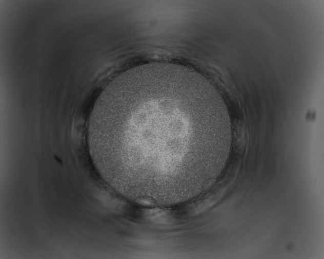 X0000101190511200807181514
